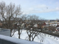 IMG_0866.JPG